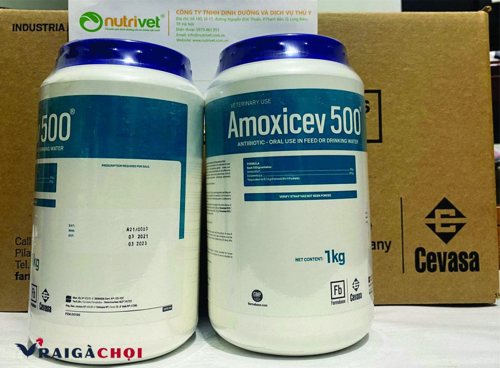 Amoxicev - điều trị các bệnh đường ruột ở gà